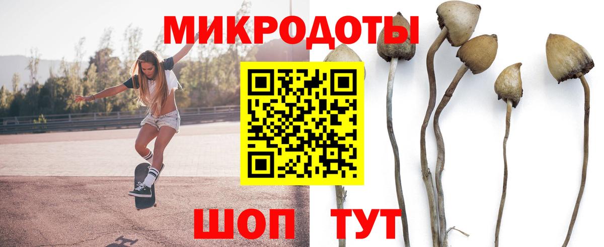Галлюциногенные грибы Psilocybe  Псилоцибиновые грибы Psilocybe  Вход с VPN  Дедовск 