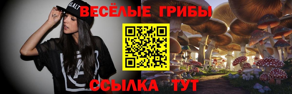 Галлюциногенные грибы GOLDEN TEACHER Дедовск